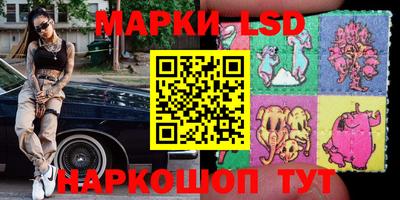 стаф Заводоуковск