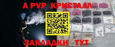 стаф Заводоуковск