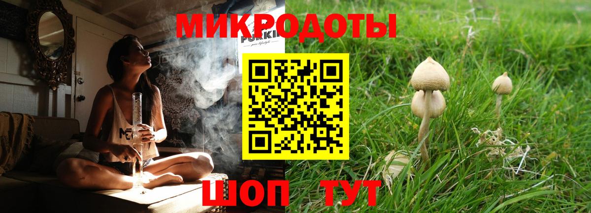 Псилоцибиновые грибы Psilocybe Лыткарино